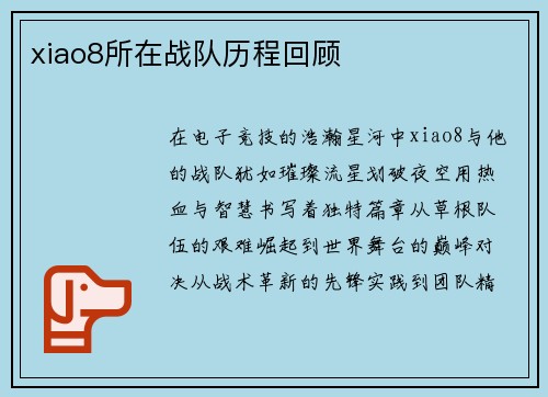 xiao8所在战队历程回顾